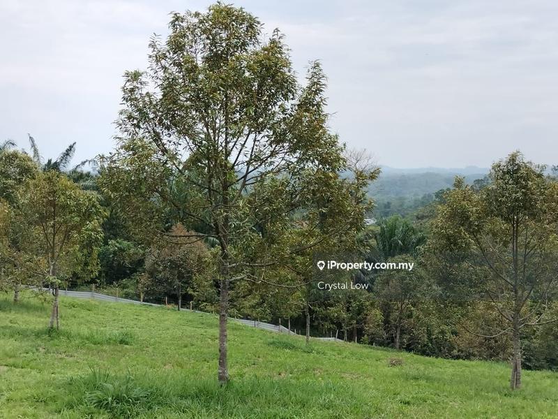 Tanah Pertanian untuk Dijual di Sega, Raub oleh Crystal Low - iProperty.com.my