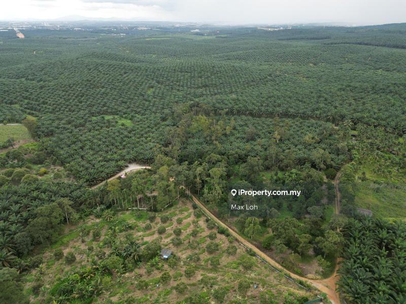 Agricultural Land for Sale in Senai, Kulai by Max Loh - iProperty.com.my