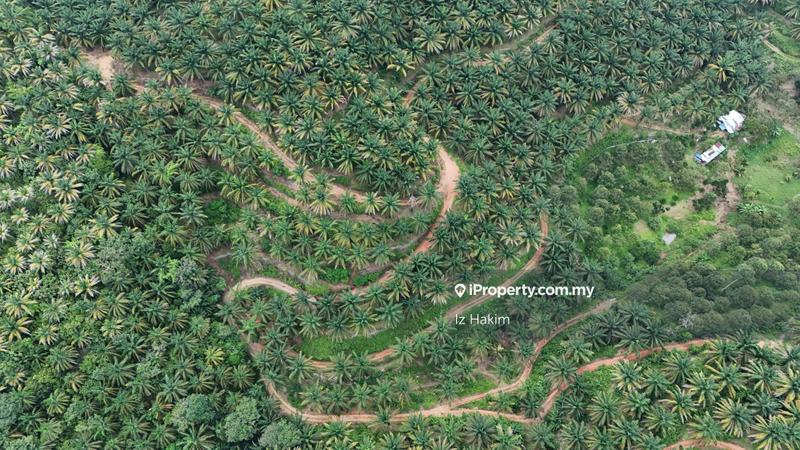 Agricultural Land for Sale in Kuala Kubu Baru, Selangor by Iz Hakim - iProperty.com.my