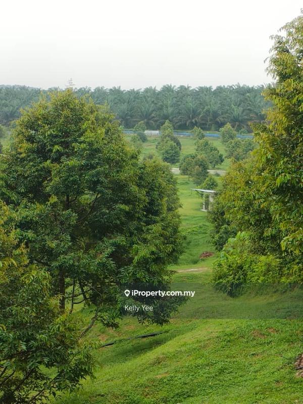 Tanah Pertanian untuk Dijual di Kampung Sungai Terap, Serdang oleh Kelly Yee - iProperty.com.my