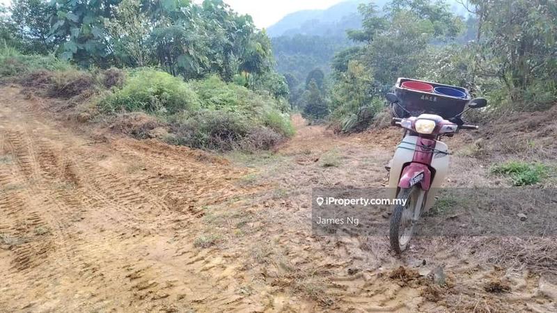 Tanah Pertanian untuk Dijual di Seri Telemong, Telemong oleh James Ng - iProperty.com.my