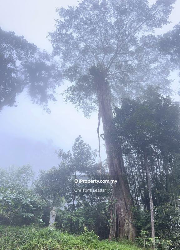 Bungalow House for Sale in Janda Baik, Bentong by Christina Lesslar - iProperty.com.my