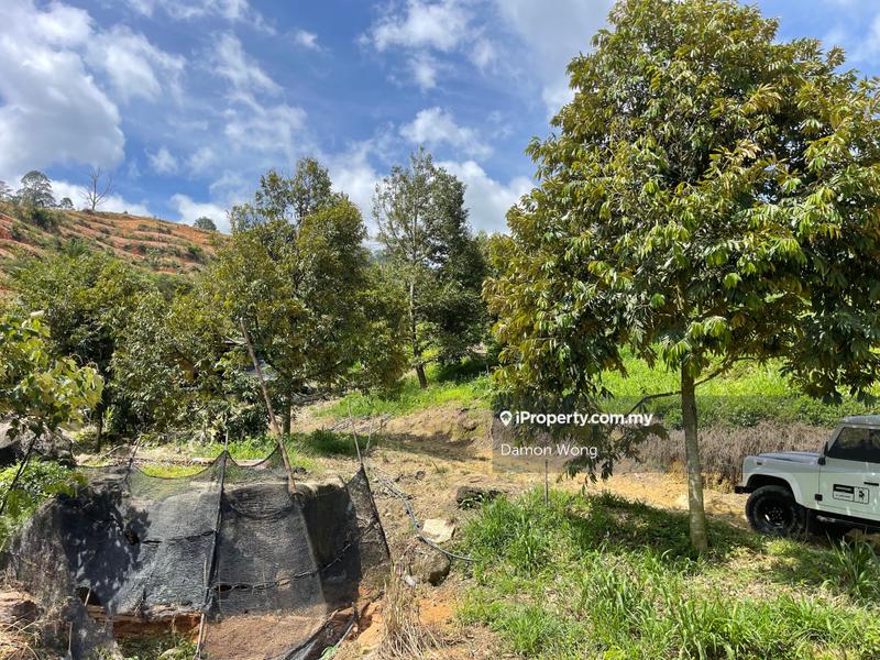 Agricultural Land for Sale in Karak, Bentong by Damon Wong - iProperty.com.my