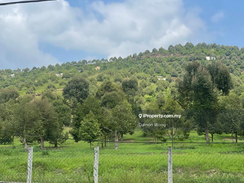 Tanah Pertanian untuk Dijual di Karak, Bentong oleh Damon Wong - iProperty.com.my
