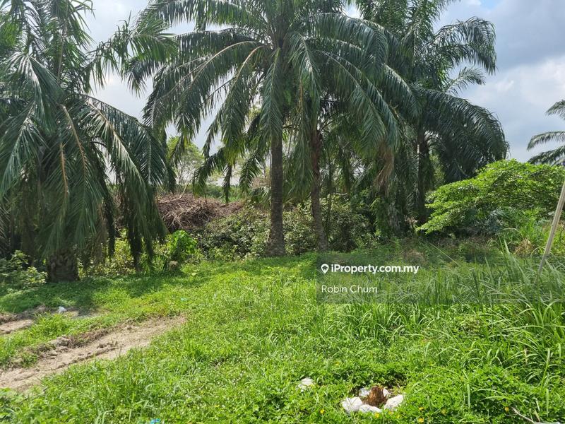 Tanah Pertanian untuk Dijual di Banting, Banting oleh Robin Chum - iProperty.com.my
