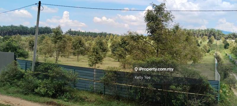 Tanah Pertanian untuk Dijual di Kampung Sungai Terap, Serdang oleh Kelly Yee - iProperty.com.my