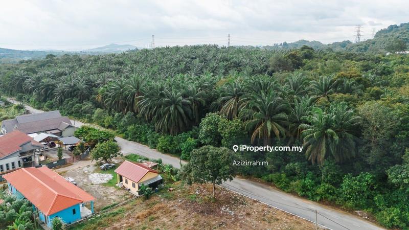 Tanah Pertanian untuk Dijual di Kampung Jenderam Hulu, Dengkil oleh Azizirrahim - iProperty.com.my