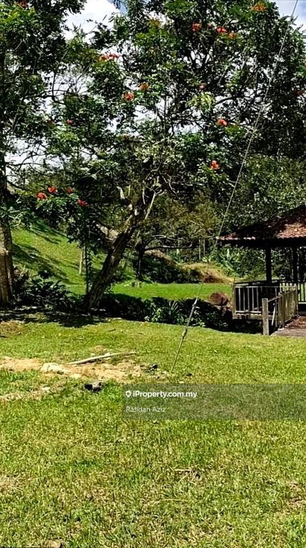 Tanah Pertanian untuk Dijual di Janda Baik, Bentong oleh Rafidah Aziz - iProperty.com.my