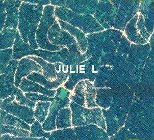 Agricultural Land for Sale in Juasseh, Bahau, Seremban, Kuala Pilah by Julie L - iProperty.com.my