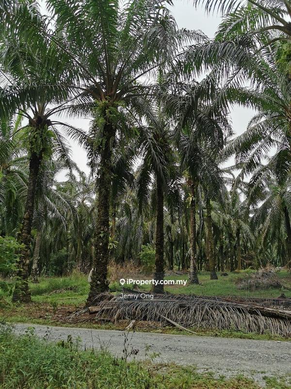 Residential Land for Sale in Bandar Puteri Jaya, Sungai Petani by Jenny Ong - iProperty.com.my