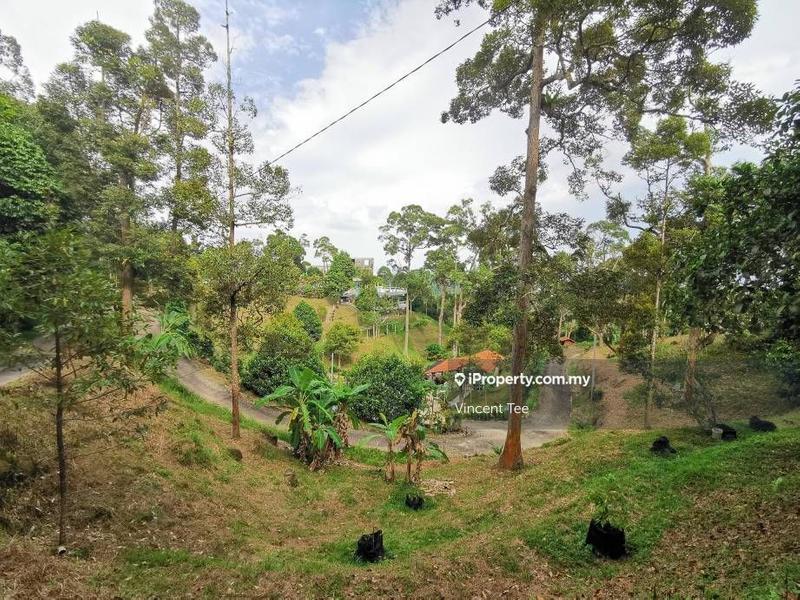 Tanah Pertanian untuk Dijual di Bukit Relau, Balik Pulau oleh Vincent Tee - iProperty.com.my