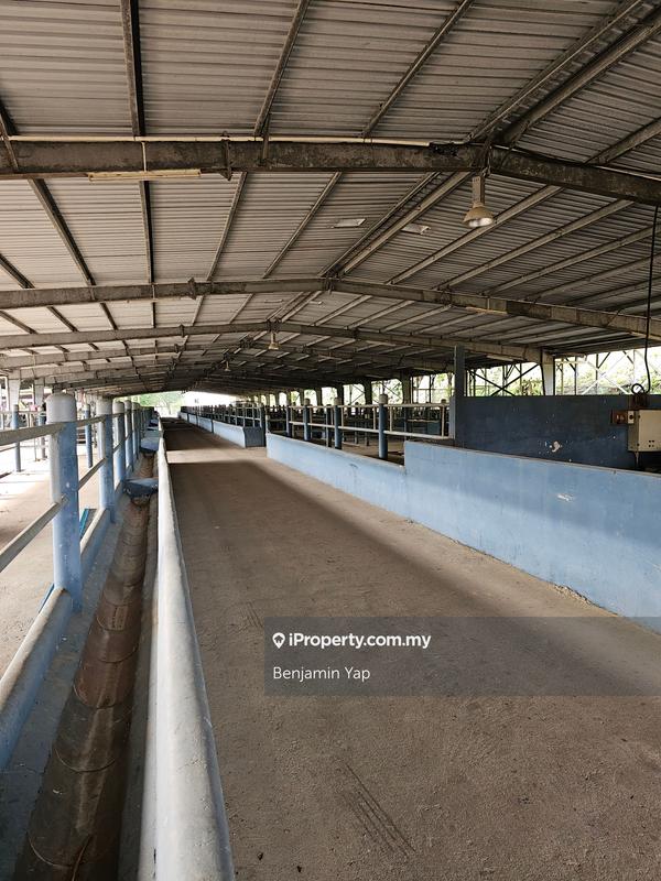 Agricultural Land for Sale in Legong Jaya, Rembau by Benjamin Yap - iProperty.com.my