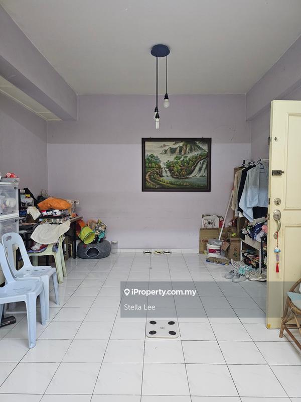 For Sale - Evergreen Park Scot Pine