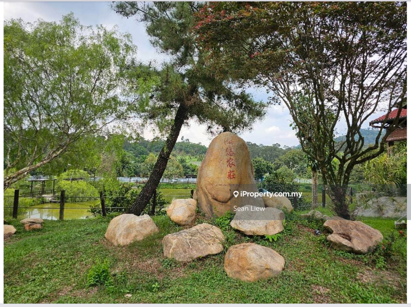 Agricultural Land for Sale in Hulu Langat, Selangor by Sean Liew - iProperty.com.my