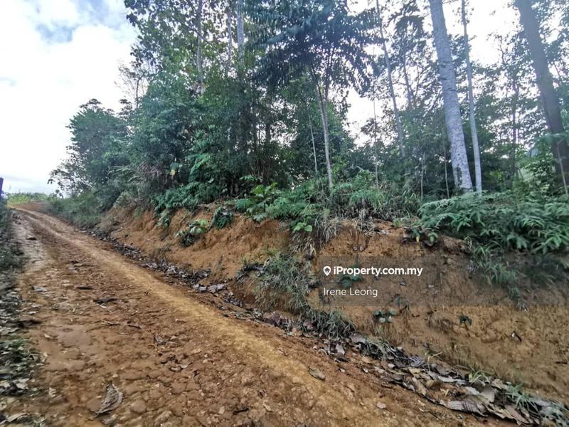 Agricultural Land for Sale in Karak, Karak by Irene Leong - iProperty.com.my