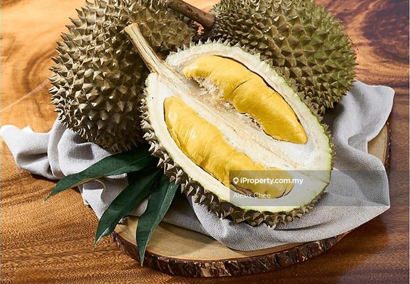 Agricultural Land for Sale in Gopeng, Perak by Alexis Chee - iProperty.com.my