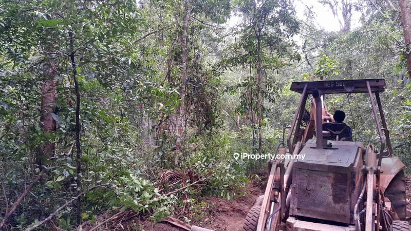 Agricultural Land for Sale in Kuala Rompin, Rompin by Intan Faridah - iProperty.com.my