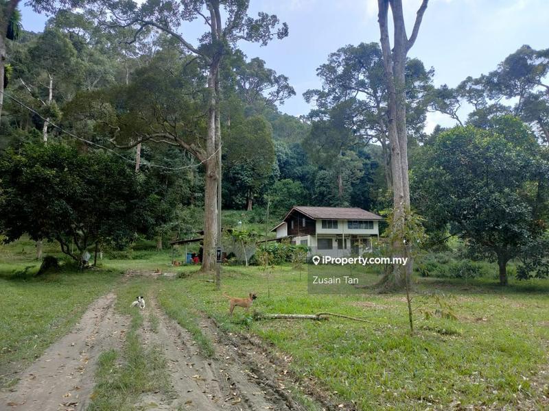 Tanah Pertanian untuk Dijual di Pulau Betong, Balik Pulau oleh Zusain Tan - iProperty.com.my