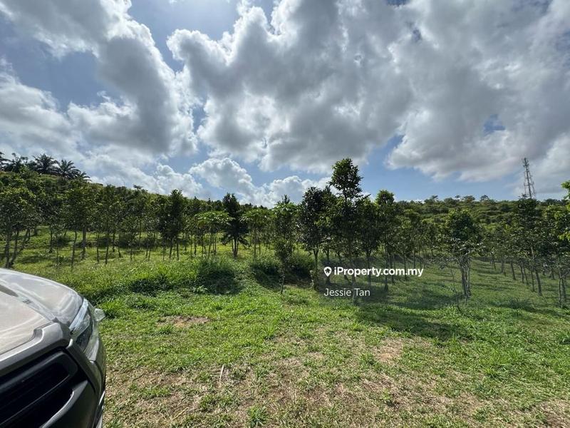 Tanah Pertanian untuk Dijual di Senai, Johor oleh Jessie Tan - iProperty.com.my