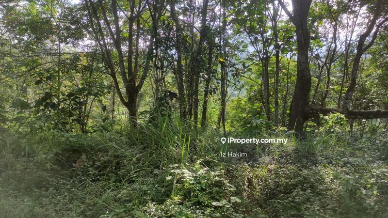 Tanah Pertanian untuk Dijual di hulu rening, Batang Kali oleh Iz Hakim - iProperty.com.my