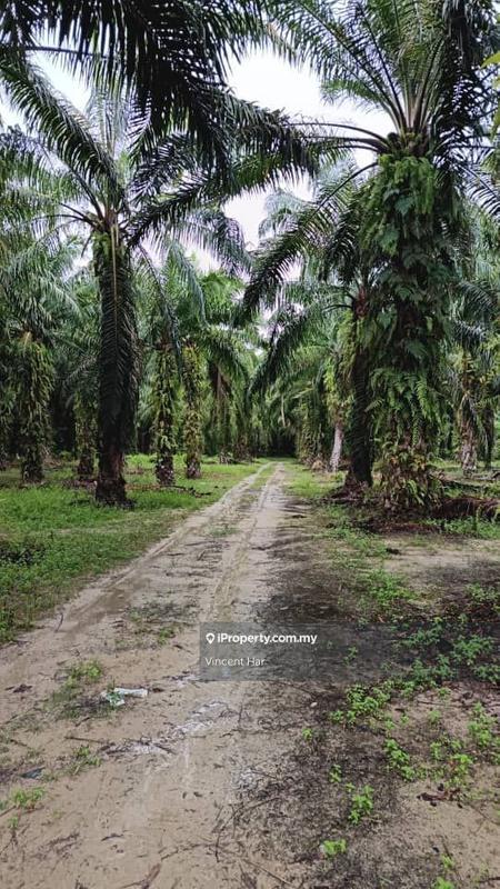 For Sale - Kampung Bahru