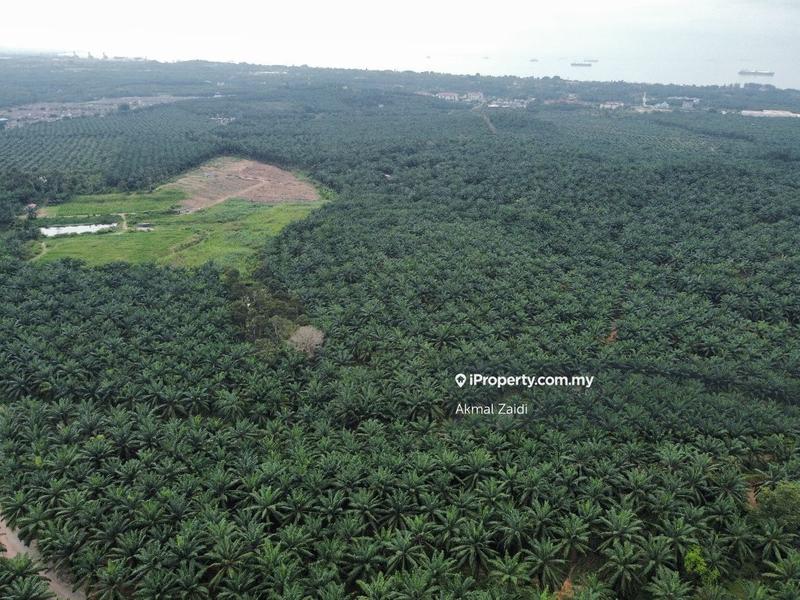 Agricultural Land for Sale in 500 Acre Agricultural Land Zoning Industry, Melaka City by Akmal Zaidi - iProperty.com.my