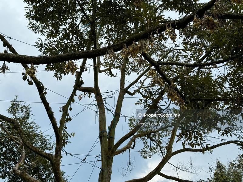 Agricultural Land for Sale in Raub, Pahang by Irene Leong - iProperty.com.my