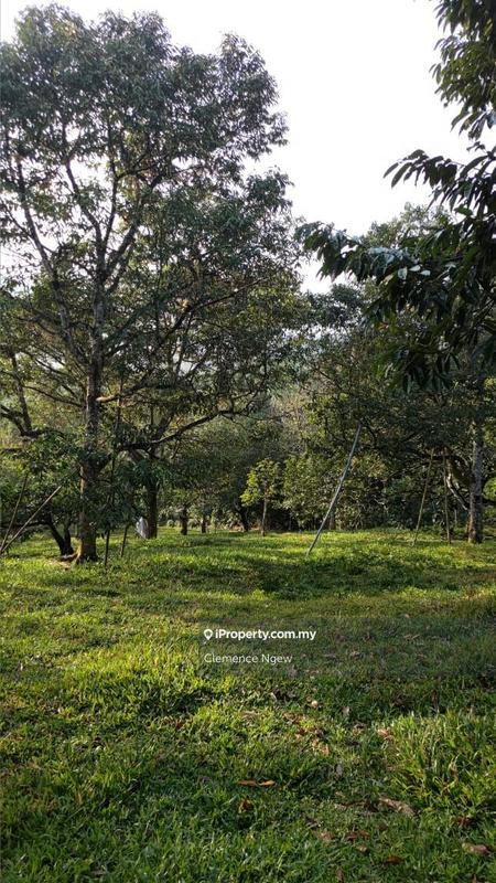 Agricultural Land for Sale in Ulu Slim, Slim River by Clemence Ngew - iProperty.com.my
