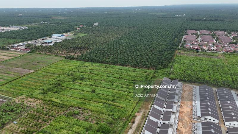 Agricultural Land for Sale in 3ayxd, Sabak Bernam by Aziz Ahmad - iProperty.com.my