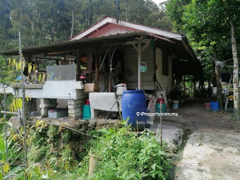 Agricultural Land for Sale in Bukit Mertajam Hill, Bukit Mertajam by Kelly Yee - iProperty.com.my