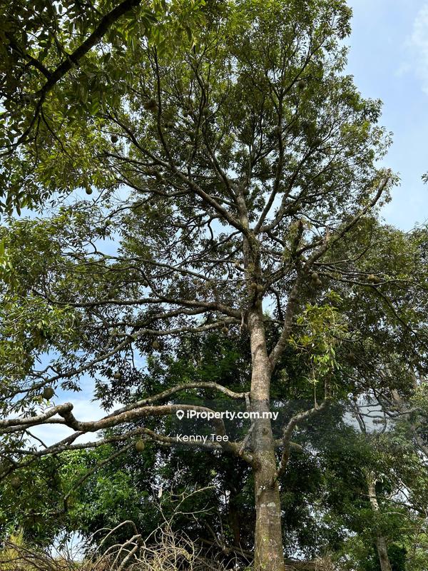 Tanah Pertanian untuk Dijual di Felda Titi, Titi oleh Kenny Tee - Exterior - iProperty.com.my