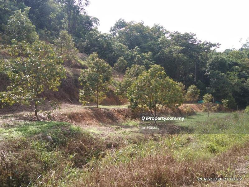 Agricultural Land for Sale in Tampin, Negeri Sembilan by Sr Haizal - iProperty.com.my