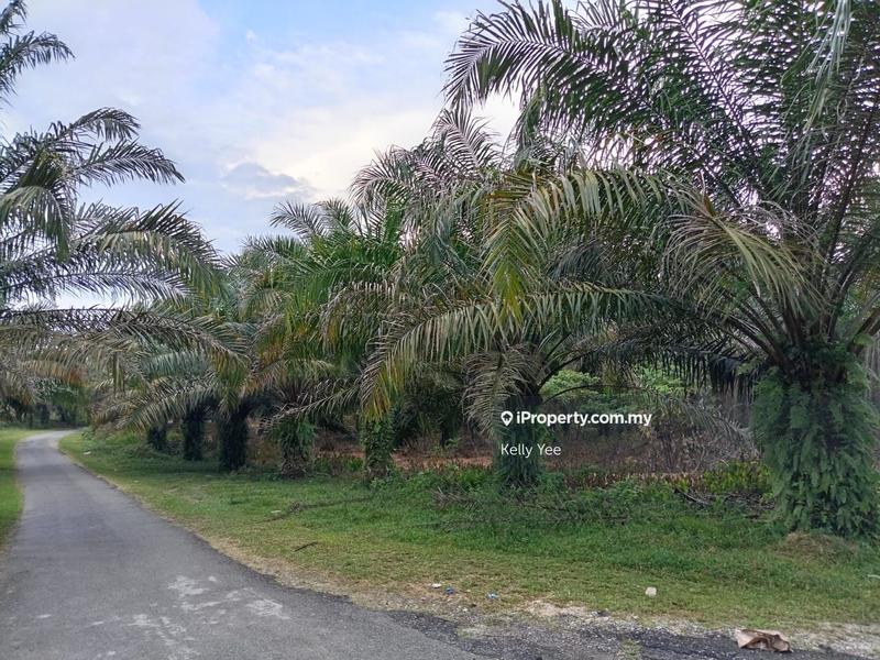 Tanah Pertanian untuk Dijual di Kampung Ladang Sempah, Sungai Jawi oleh Kelly Yee - iProperty.com.my