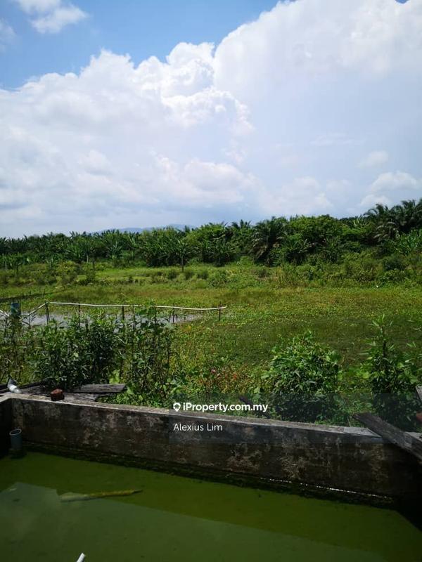 Agricultural Land for Sale in Kulai, Kulai by Alexius Lim - iProperty.com.my