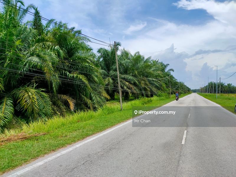 Agricultural Land for Sale in Kuala Selangor, Sungai Buloh. Bandar Tasik Puteri, Ijok by Mr Chan - iProperty.com.my