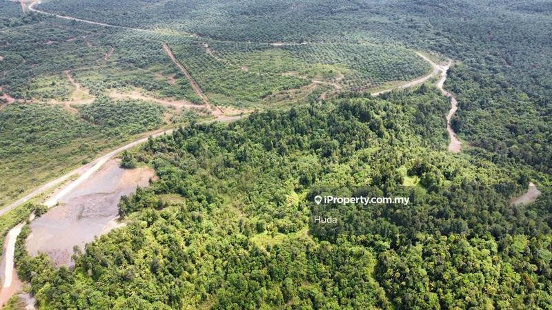 Agricultural Land for Sale in Kuala Rompin, Pahang by Huda - iProperty.com.my