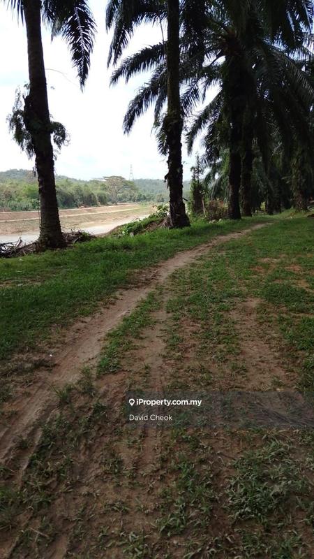 Tanah Pertanian untuk Dijual di Port Dickson, Negeri Sembilan oleh David Cheok - iProperty.com.my