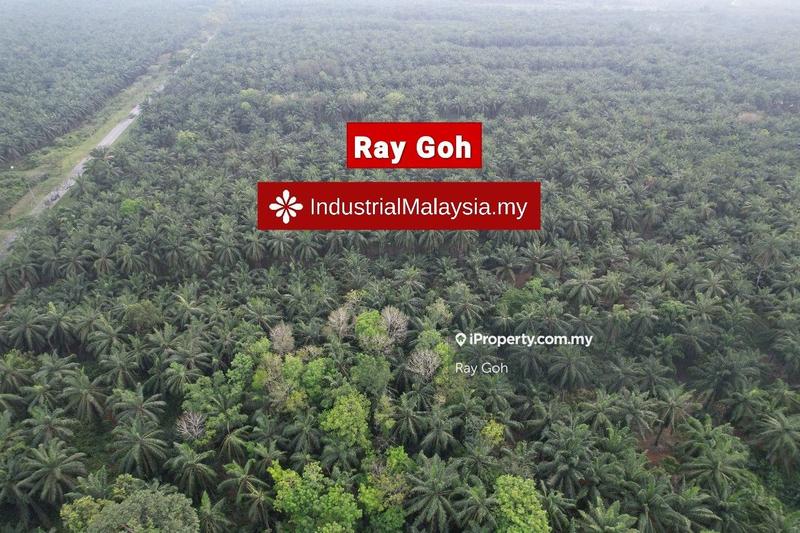 Agricultural Land for Sale in Kampung Kanchong Tengah, Banting by Ray Goh - iProperty.com.my