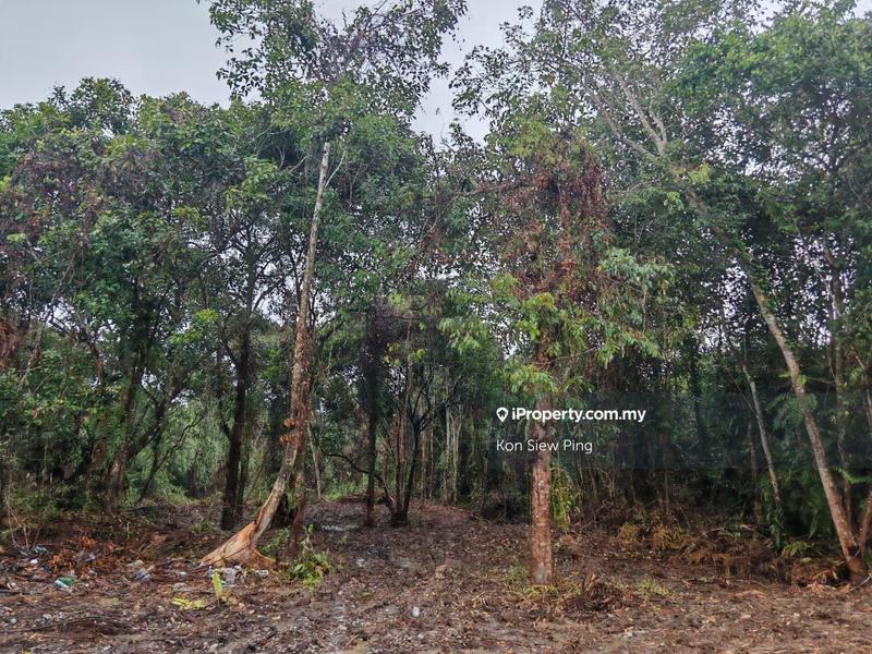 Agricultural Land for Sale in Batu Kawa, Kuching by Kon Siew Ping - iProperty.com.my