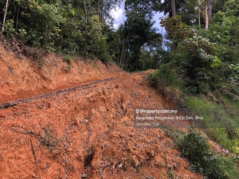 Residential Land for Sale in Janda Baik, Bentong by Jennifer Yap - Earth work done for an up going plot driveway. - iProperty.com.my