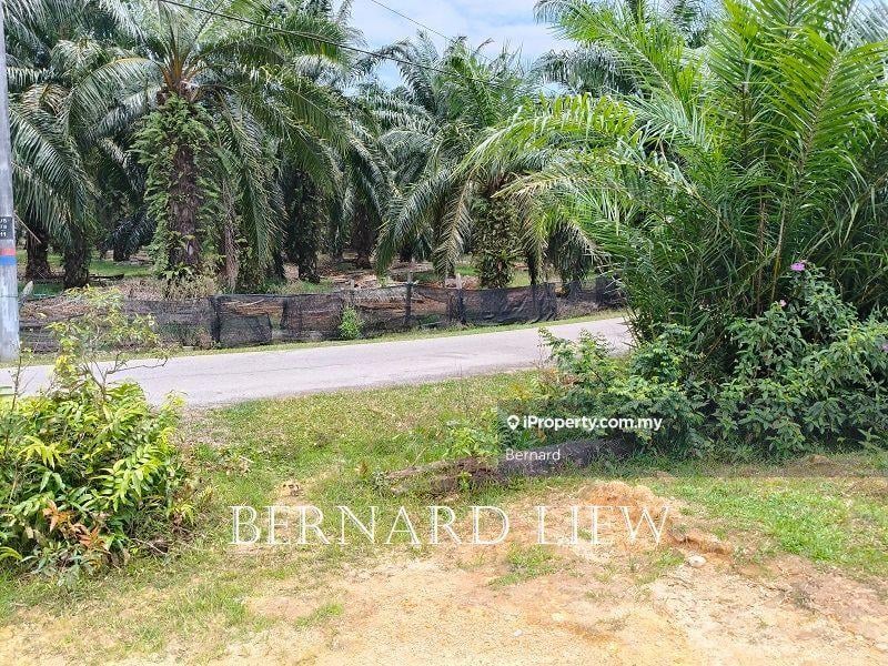 Commercial Land for Sale in Seberang Perai Selatan, Sungai Bakap by Bernard - iProperty.com.my