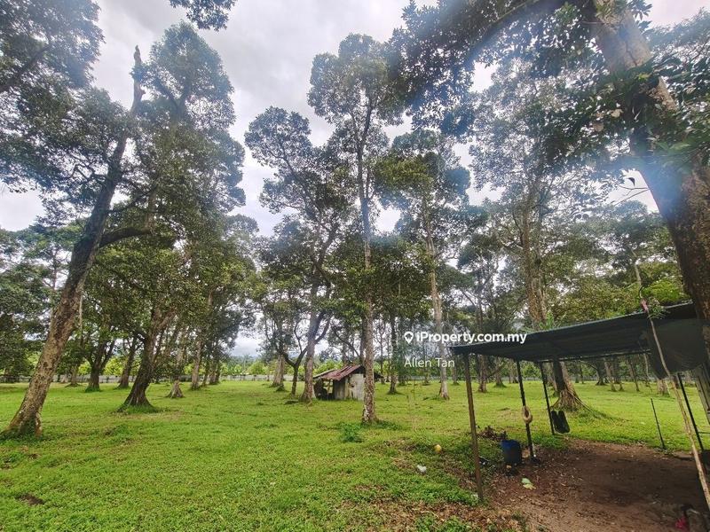 Tanah Pertanian untuk Dijual di Nearby Taman Utama, Pekan Nanas oleh Allen Tan - iProperty.com.my