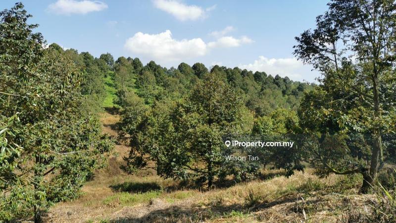 Tanah Pertanian untuk Dijual di Bandar Bukit Mahkota, Bangi oleh Wilson Tan - iProperty.com.my