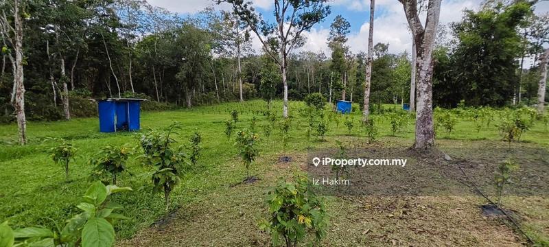 Agricultural Land for Sale in Batang Kali, Selangor by Iz Hakim - iProperty.com.my