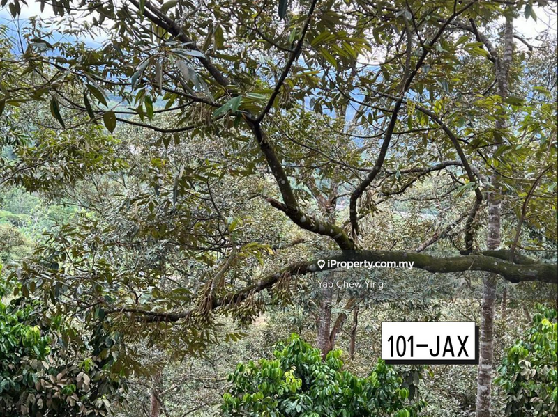 Tanah Pertanian untuk Dijual di Bukit Tinggi, Bentong oleh Yap Chew Ying - iProperty.com.my