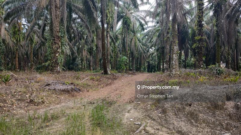 Commercial Land for Sale in Tanjong Malim, Rawang by Omar Stephen Tan - iProperty.com.my