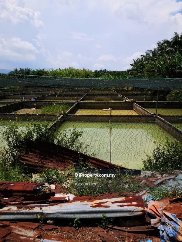 Agricultural Land for Sale in Kulai, Kulai by Alexius Lim - iProperty.com.my
