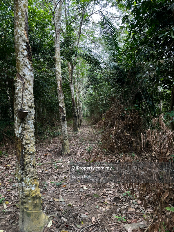 Agricultural Land for Sale in Taman Bemban Utama, Bemban by Edwin Koh - iProperty.com.my