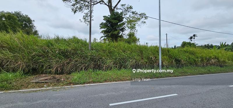 Agricultural Land for Sale in Bukit Banang, Batu Pahat by Ling Yean - iProperty.com.my