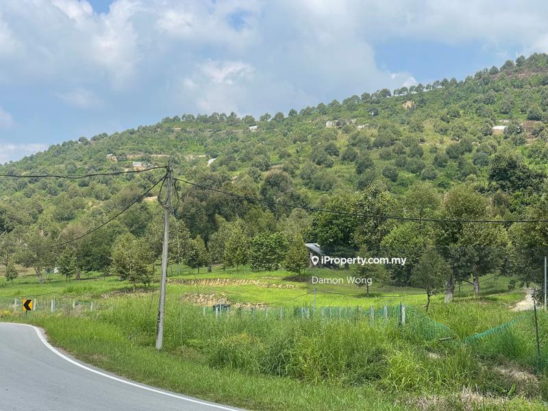 For Sale - 349 acres roadside Durian Orchard